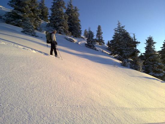 dans la poudreuse