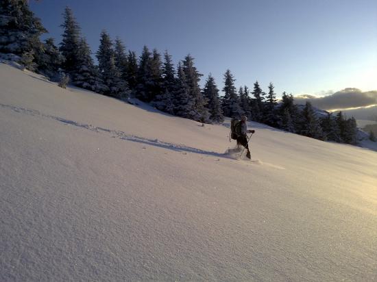 Descente de rêve dans la poudreuse...